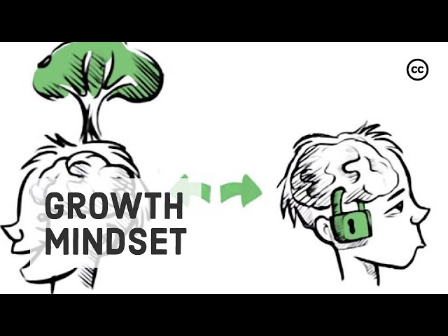 Video Summary: Growth Mindset vs. Fixed Mindset